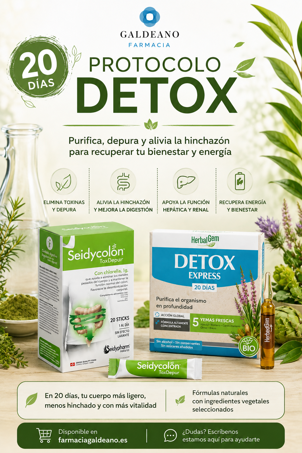 PROTOCOLO DETOX