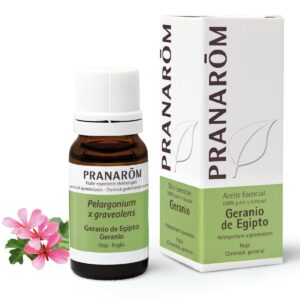 Ae geranio Egipto 10ml